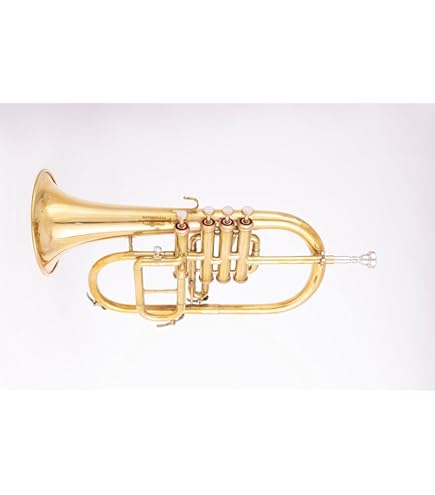 Amazon.com: B&S 3145 Challenger I Intermediate Bb Flugelhorn