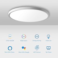 MELEGAN Smart Led Ceiling Light Flush Mount, 12