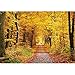 wall26 - Road in The Autumn Forest - Removable Wall Mural | Self-Adhesive Large Wallpaper - 100x144 inches