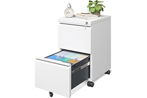 AODK File Cabinet for Home Office, Fully Assembled Filing Cabinet 2 Drawer Rolling File Cabinets with Lock, Small Mobile File Storage Cabinets for A4/Legal/Letter File, White