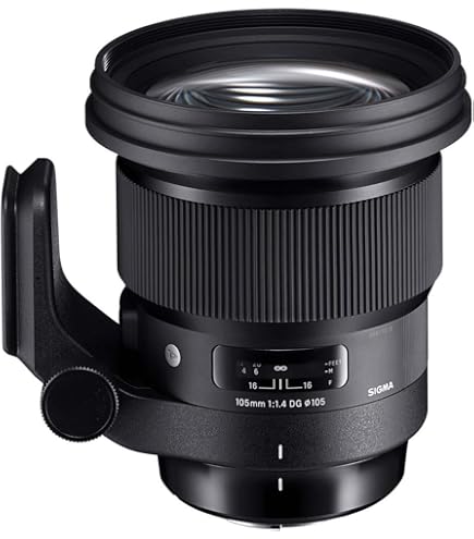 Amazon.com : Sigma 105mm f/1.4 DG HSM Art Lens for Sony E with