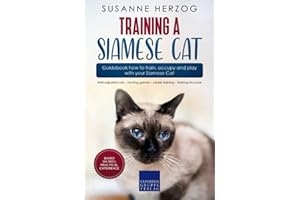 Training a Siamese Cat – Guidebook how to train, occupy and play with your Siamese Cat: Well-adjusted cats – hunting games – 