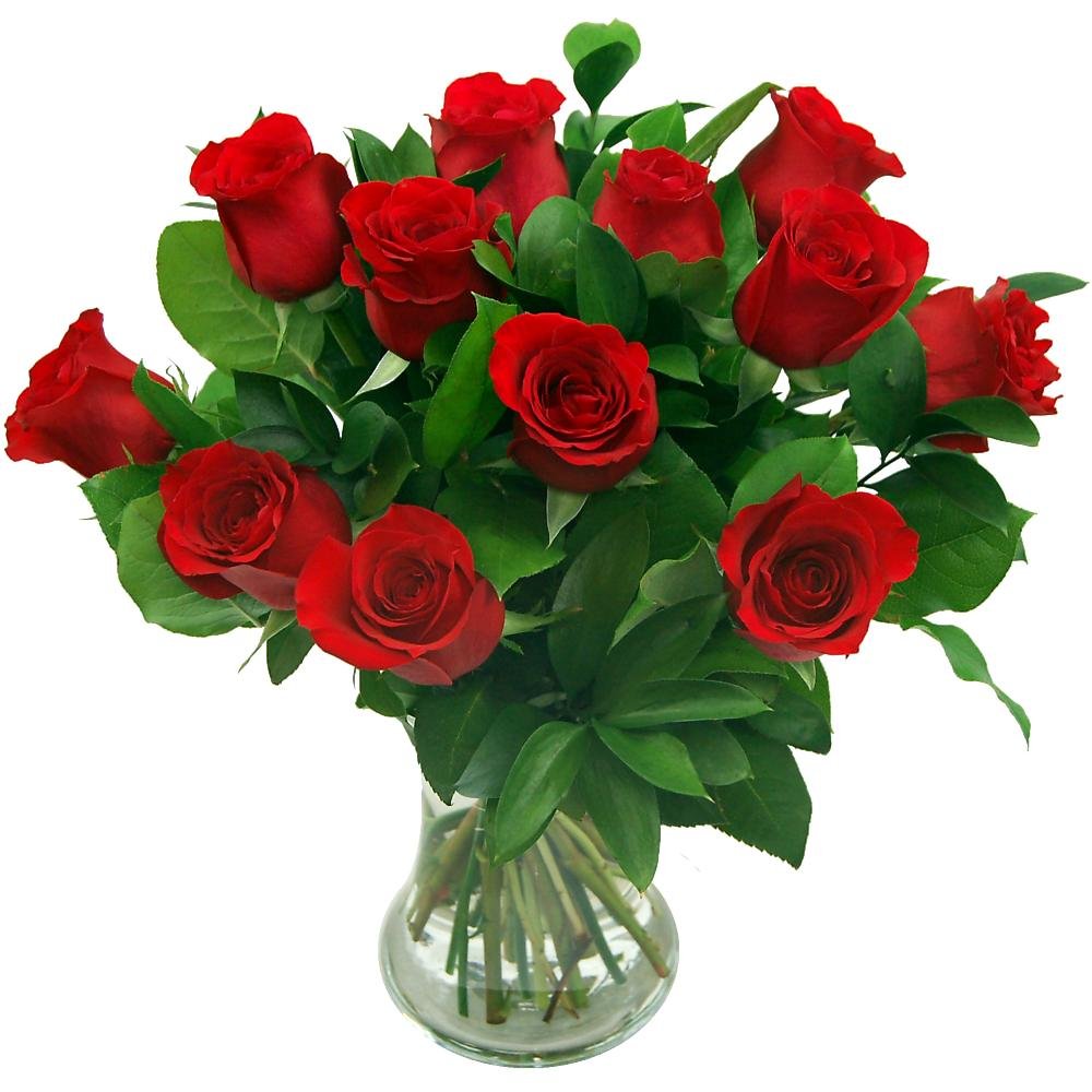 Clare Florist 12 Red Roses True Romance Fresh Flower Bouquet - Romantic Fresh Roses Hand Arranged by Expert Florists