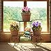 Sorbus Garden Cart Stand & Flower Pot Plant Holder Display Rack, 6 Tiers, Parisian Style – Perfect for Home, Garden, Patio (Bronze)thumb 4