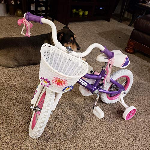 DRBIKE Kids Bike Basket for 12 14 16 18 inch Girls Bike, Kid's Bicycle