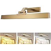 Afyuol Picture Lights for Wall, Brass Battery Operated Picture Light 16in Art Light CCT Dimmable Recharging Battery Wall Ligh