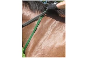 Nunn Finer Nylon Neck Strap (Hunter Green)