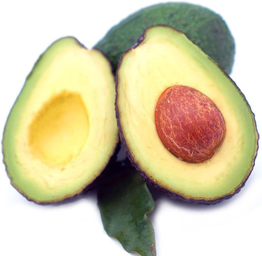 Teaio Fruits Seeds, Avocado Seeds Bonsai Green Fruit Seeds Garden Persea Americana Seeds, 10pcs/Bag