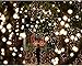 BIENNA Globe String Lights, 20 ft/6 M 50 LED Ball Frosted Starry Fairy Weatherproof Lighting for Outdoor Indoor Bedroom Outside Wedding Patio Christmas Xmas Holiday Party-Warm White
