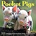 Pocket Pigs Wall Calendar 2018 by