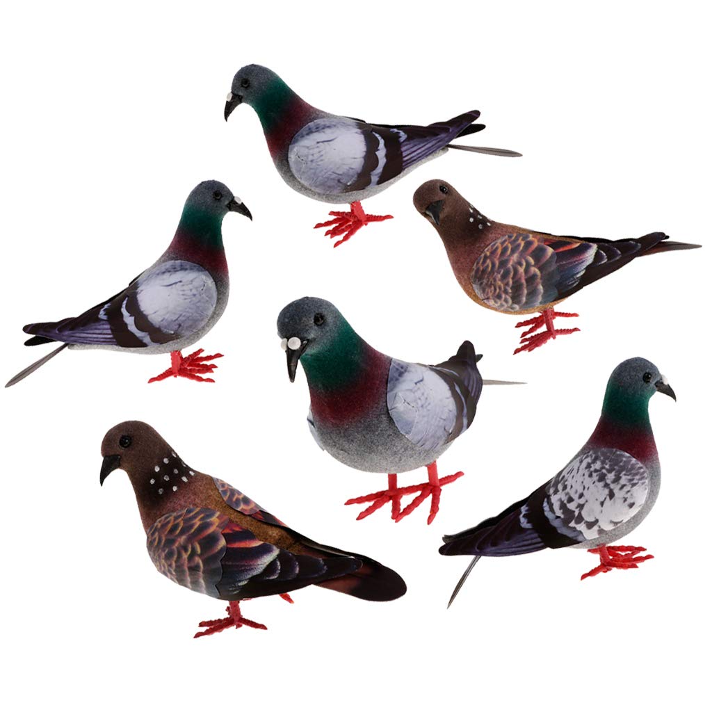 Best Garden Statue Dove