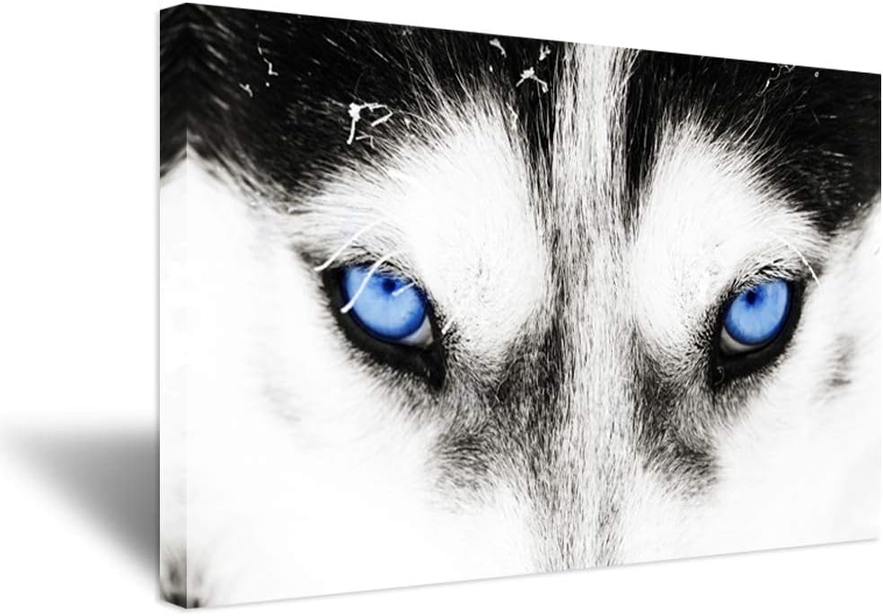 iHAPPYWALL Large Black and White Wolf Canvas Wall Art Husky Dog Blue Eyes Animal Face Series Picture Artwork for Modern Home Decor 24x36inch