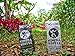 Kimera Koffee Dark Roast - Organic Ground Coffee Infused with Essential Brain Vitamins Ground (12oz)