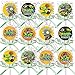 Plants vs Zombies Lollipops Video Game Party Favors Supplies Decorations Lollipops with Lime Green Ribbon Bows Party Favors -12 pcs