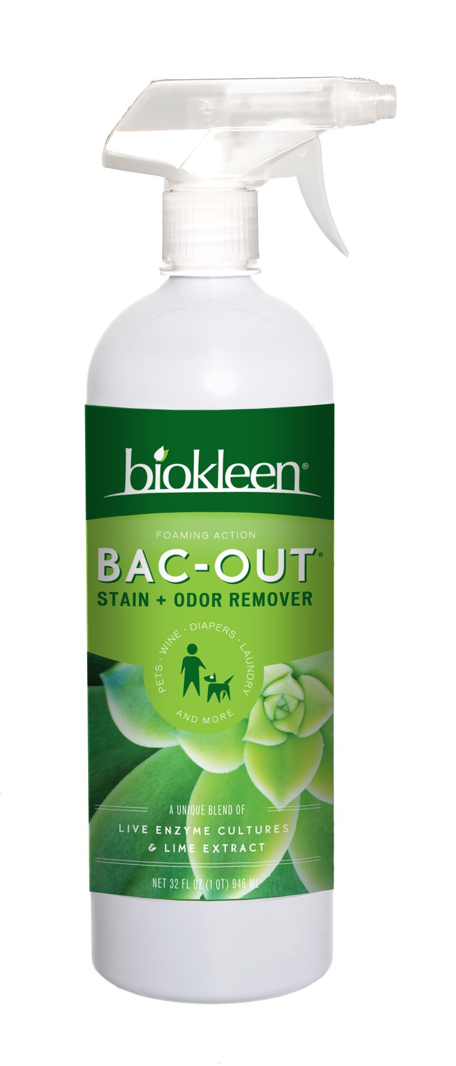 Biokleen BacOut Stain+Odor Remover, Destroys Stains