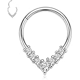 FUNLMO Septum Ring Daith Tragus Helix Rook Cartilage Piercing Jewelry 316L Surgical Steel Nose Ring Hoop Teardrop Hinge Segment Ring
