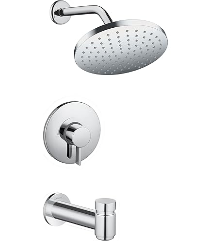 Hansgrohe Hand Shower Normal Jet Chrome 16320000 - Amazon.com