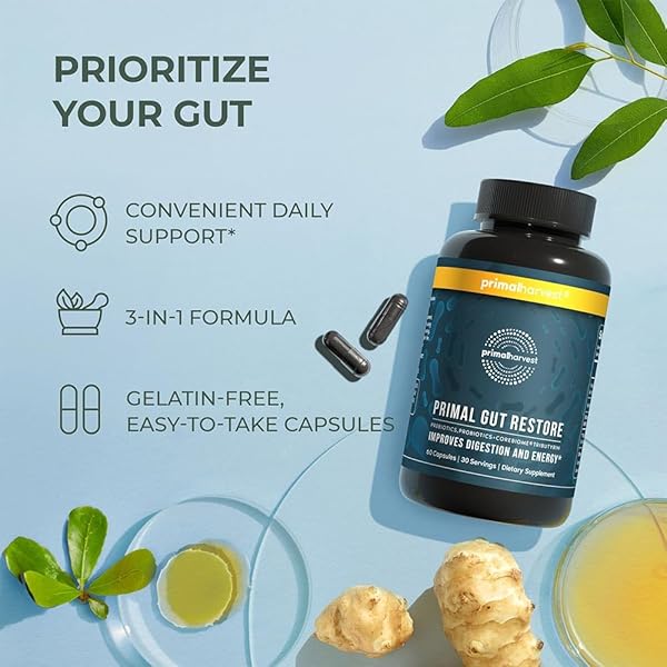 PRIMAL HARVEST RESTORE FOR GUT HEALTH, PRIMAL GUT RESTORE W/POSTBIOTICS, PREBIOTICS AND PROBIOTICS FOR WOMEN AND MEN, 60 CT – DIGESTION, COLON CLEANSE, IMMUNITY SUPPORT – HELPS LEAKY GUT REPAIR