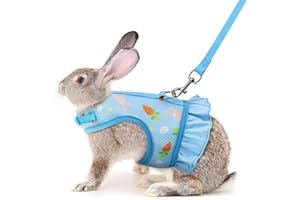 YOUALSO Blue Rabbit Harness and Leash Set, Escape Proof Bunny Harness and Leash, Cute Bunnies Vest Clothes Stuff Accessories - Also Suit for Ferret Kitten Puppy Small Animals, L(Adult Rabbit)