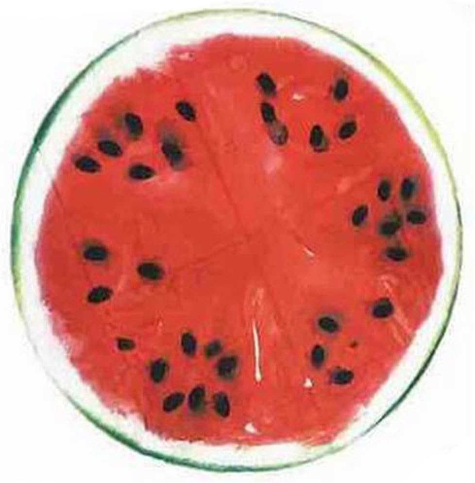 Nibesser Wassermelone Strandtuch Lemon Yoga-Matte Farbenfroh Kuschelig