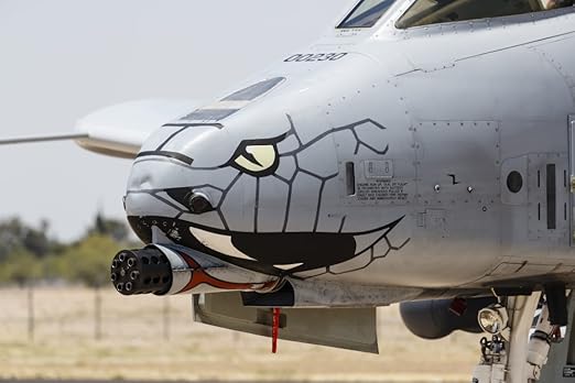 Rob Edgcumbe Stocktrek Images Close Up Of The Gau 8 Avenger Gun On An A 10 Thunderbolt Ii Kunstdruck 43 18 X 28 70 Cm Amazon De Kuche Haushalt