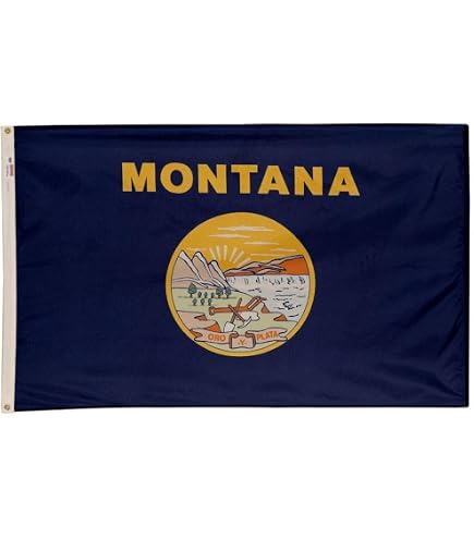 New Mexico State Flag 3x5 Feet - 100% Nylon, Made In USA By Annin Flagmakers - View #2
