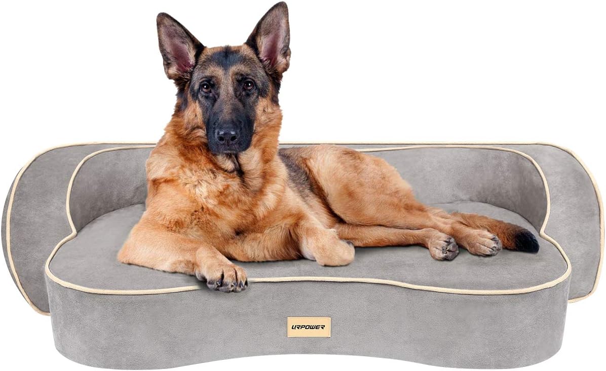 Best aspen pet sofa bed