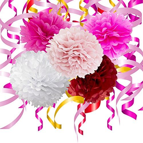 25 Piece Party Decorations Set - Tissue Paper Flowers Pom Poms + Plastic Swirls Bundle - Party Streamers - Tissue Paper Pom Poms - Pink - Baby Shower - Girls