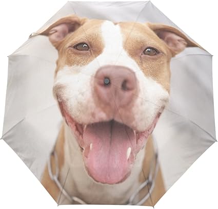 Pitbull umbrella Clearance