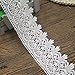 Trimscraft 5 Yards 3 Inches Wide Venise Cotton Lace Trims Eyelet Fabric for Garment Accessory DIY Craft Supply in White