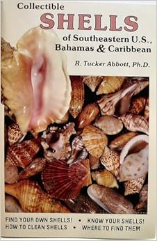 Collectible Shells Of Southeastern United States Bahamas