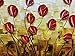 Asdam Art - Red Daisy Oil Paintings on Canvas Red Budding Flowers 100% Hand-Painted Abstract Artwork Floral Wall Art for livingroom Bedroom Dinning Room Decorative Pictures Home Decor(20X40 inch)