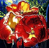 Continental Art Center BD-0393 8 by 8-Inch Three Red Poppy Flower with Blue Background Ceramic Art Tile