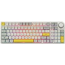 Amazon.com: EPOMAKER TH96 96% Hot Swap RGB 2.4Ghz/Bluetooth 5.0 