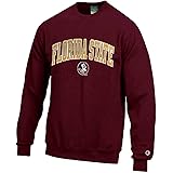 adult champion sweatsuit