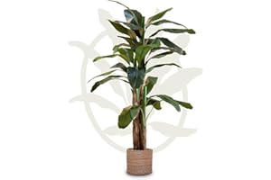 Maia Shop Artificial Banana Tree 7FT Tall, Fake Plant with Realistic Leaves and Trunks, Faux Silk Plant made with The Best Materials, Artificial Plant for Home Decor Indoor, Tropical Decor, 83 inches