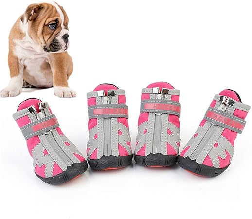 xs dog boots