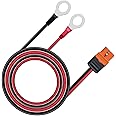 ZkeeShop XT60i to O Ring Terminal Cable，More Than 8A，12AWG Extension Cable XT60i Female to O Ring Connector XT60i-f for Lipo Batterie (12AWG-(10FT))