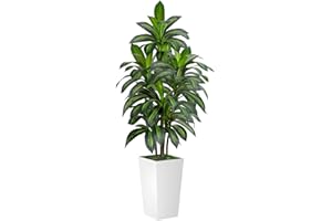 VIVATREES Dracaena Tree 5FT Artificial, 60in Tall Faux Dracaena Tree with 15.7 White Planter, Fake Potted Tree for Indoor & Outdoor Home Office Decor