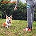 YISCOR Shock Collar for Dogs, Upgraded Dog Training Collars, Remote Waterproof and Rechargable with Shock, Vibration, Beep, and Light,Electric for Small and Large Dogs 1000Ft Range
