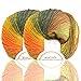 Gradient Rainbow Soft Wool Yarn Self-striping Yarn for Crochet Knit,Color: Autumn Leaves (2 Skeins)
