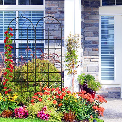 Relaxdays Rankgitter Metall, 2er Set, zum Stecken, Rankhilfe für Kletterpflanzen, 180 x 50 cm, Spalier Garten, schwarz – Bild 6