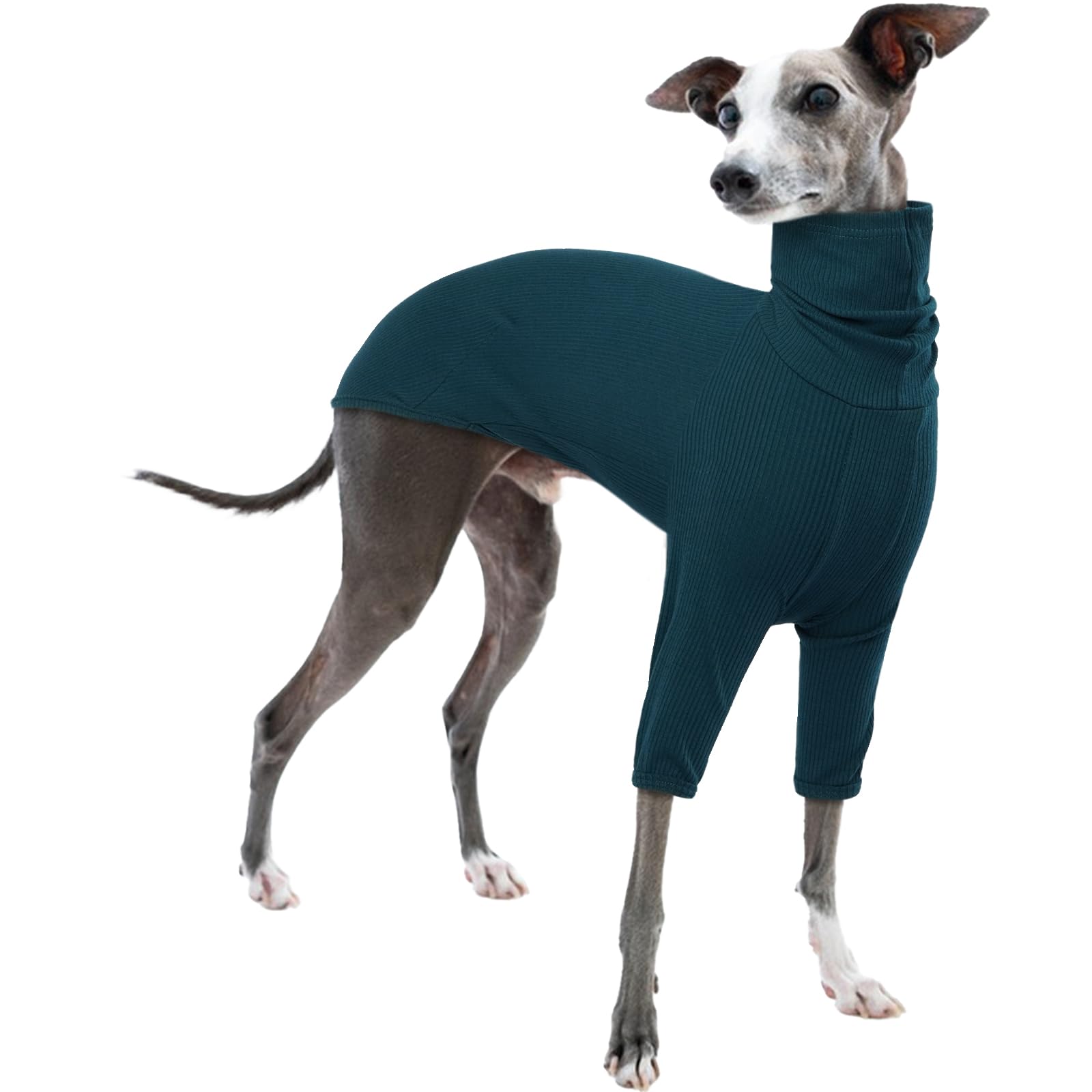 Lightweight Greyhound Jumper, Dog Jumper Medium for Whippets Pullover Greyhound Pajamas Lurcher Shirt Whippet Pjs Dog Sweatshirts(Blue, M)