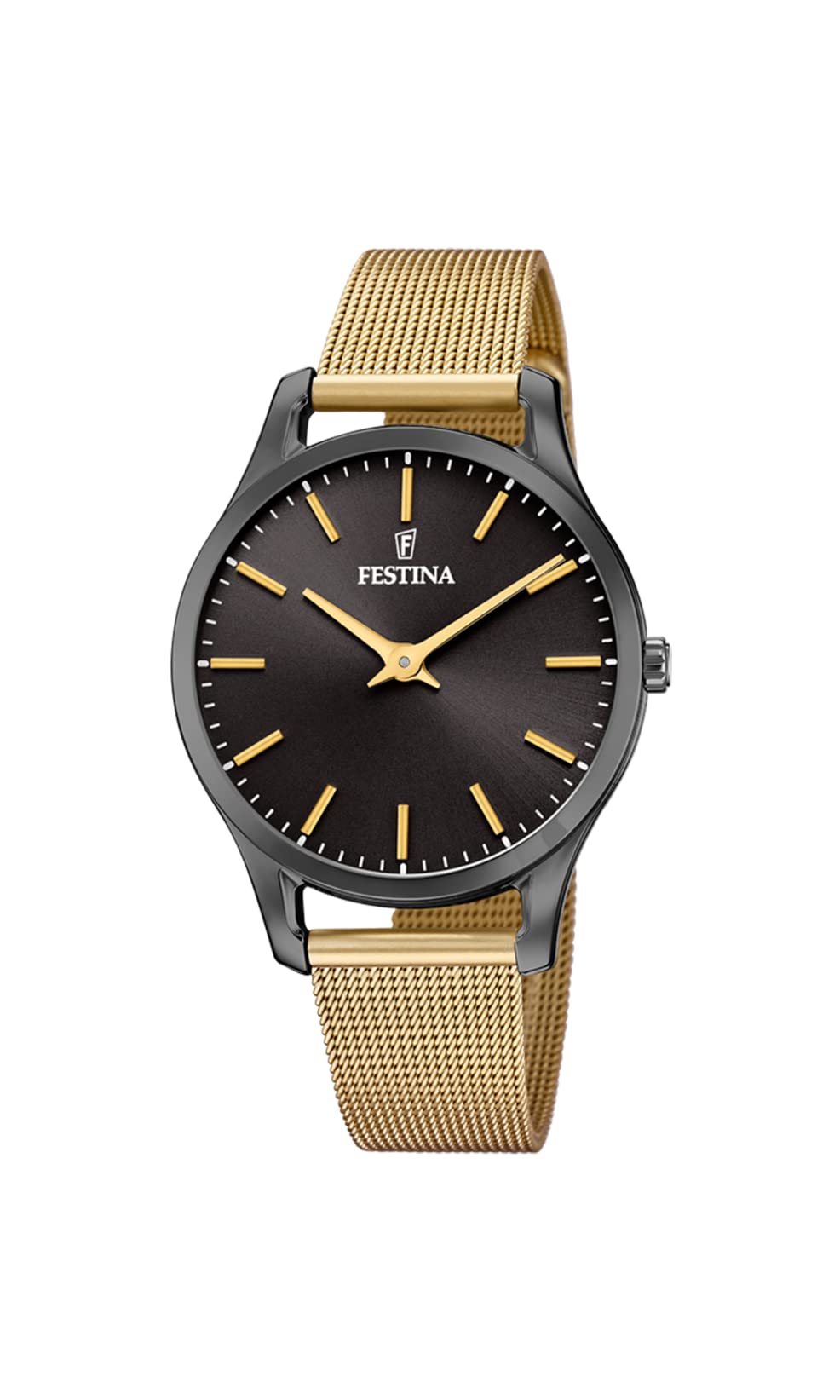 Festina Watch