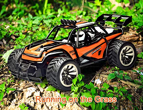 XINBAOHONG RC Car 1:16 Scale Electric Off Road Vehicle 2.4GHz Radio Remote Control Car 2W High Speed Racing Monster Truck Hobby Rock Crawler Toy (Orange)