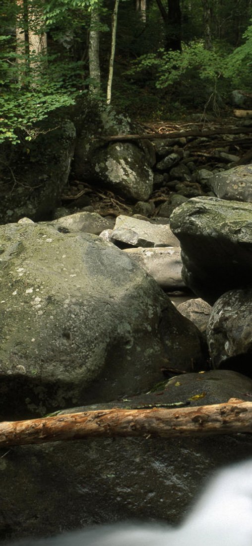 PeelitStickit, Beautiful Nature Wall Murals, ID-1301, vinyl