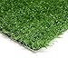 Four Paws Wee-Wee Premium Patch Indoor and Outdoor Pet Potty for Dogs l Dog Potty Training l Artificial Grass l Wee-Wee Patch