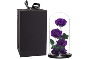 PERFECTIONE ROSES Purple Roses Handmade Preserved Real Rose in Glass Dome, Long Lasting Roses Never Withered Gifts for Her, Valentine's Day, Mother's Day, Birthday, Christmas, Anniversary(13 inch)