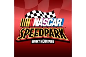 NASCAR SpeedPark Smoky Mts.