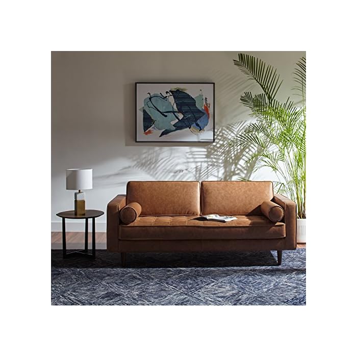Amazon Brand Rivet Aiden MidCentury Modern Tufted Leather Loveseat